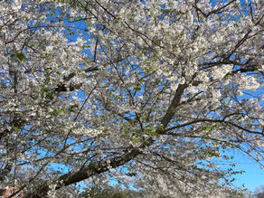 Our Open Portal with Jesus