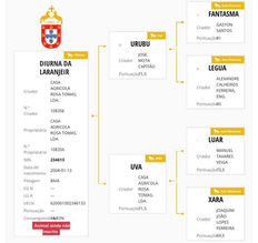 Nalas mother APSL.jpg