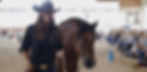 36027133_1952822678081289_1752344225816510464_o_edited.jpg