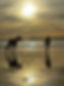 IMG-20231108-WA0008.jpg