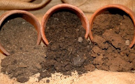 GARDEN CLASS: All about Soils