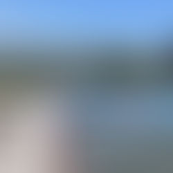 Window Cleaning Near Me in Glendale, CA – One-Story Luxury Home