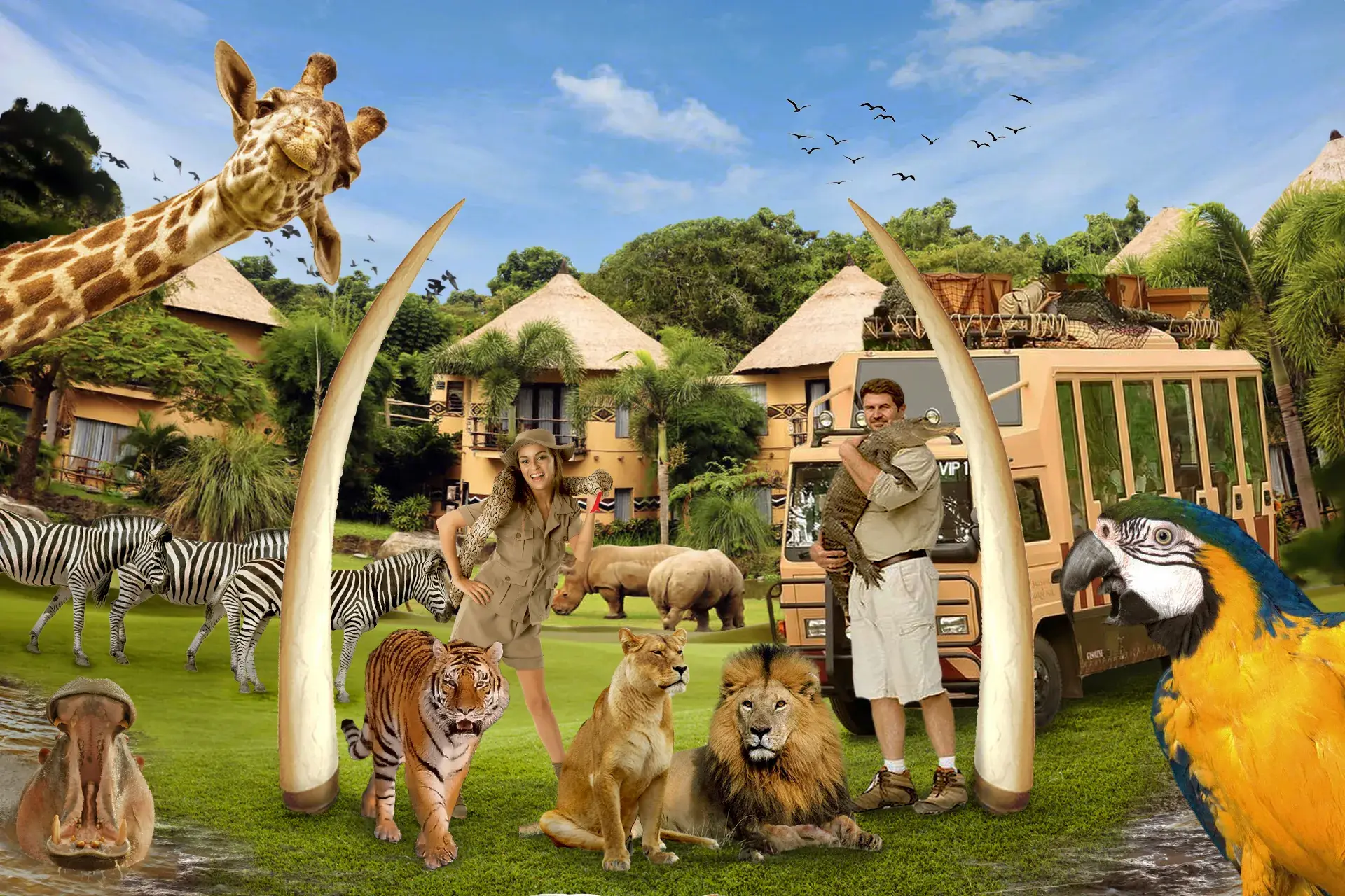 Safari Park Excursion