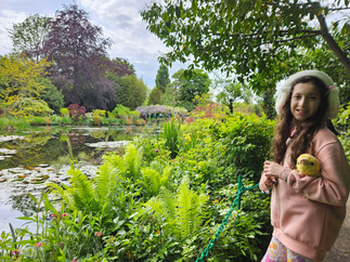 The pond, adorned with beautiful flowers, reflected an Impressionist painting, capturing the essence of the surrounding blooms in its waters.
