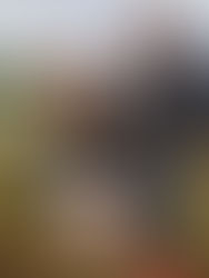 How to ARM & DISARM a Drone