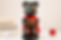 bear12_edited.jpg