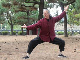 건강 낭창 시리즈