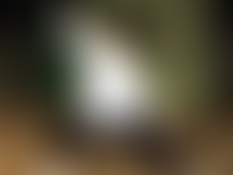 팔단금 제3초식/조리비위수단거(調理脾胃須單擧)