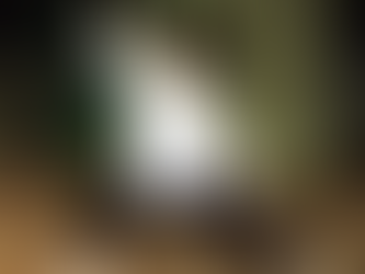 팔단금 제3초식/조리비위수단거(調理脾胃須單擧)