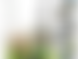 비단처럼 부드럽고 아름다운 몸을… 8명이 펴낸 ‘오! 나의 팔단금’