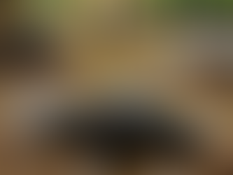 서초구 아버지센터, 한겨레신문 '이길우 국장'과 함께하는 팔단금 수련이 열려