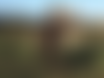 팔단금 제4초식