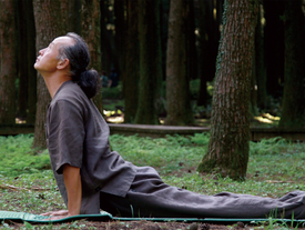 건강 낭창 시리즈