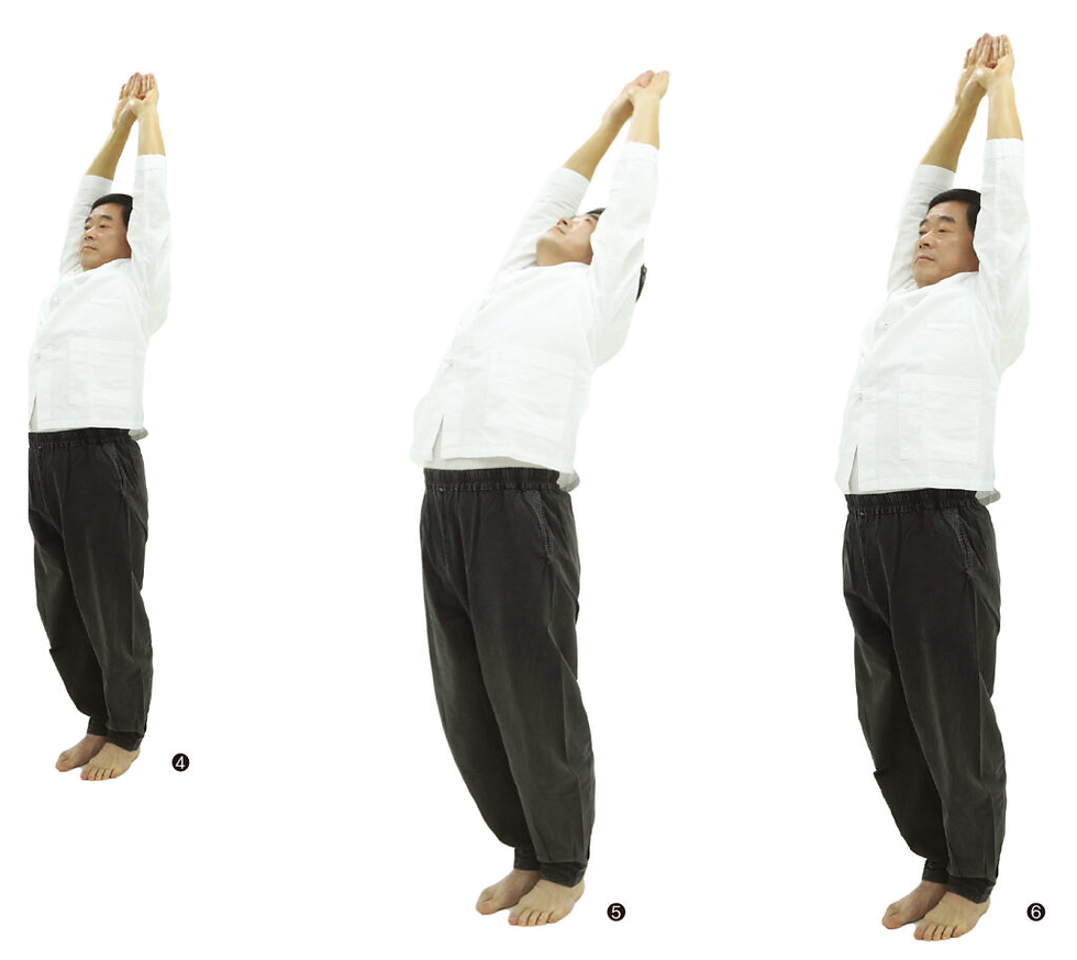 팔단금 제5초식