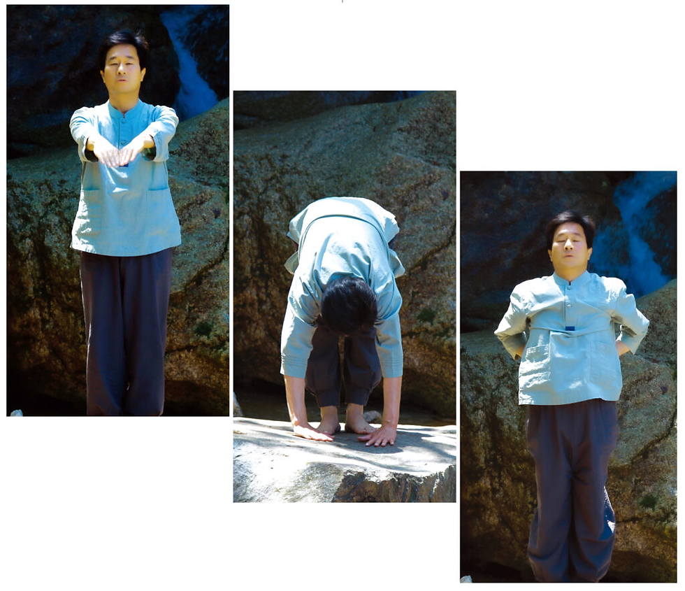 팔단금 제5초식