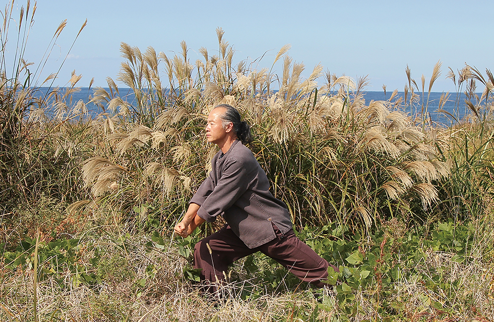 건강 낭창 시리즈