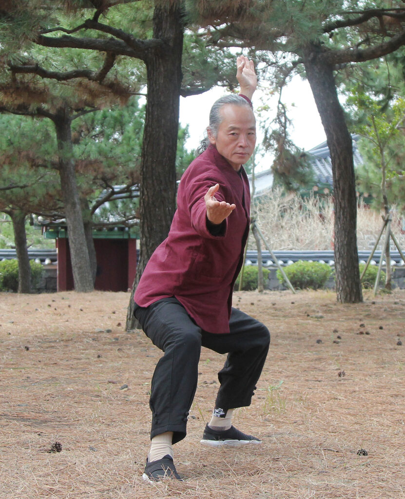 건강 낭창 시리즈