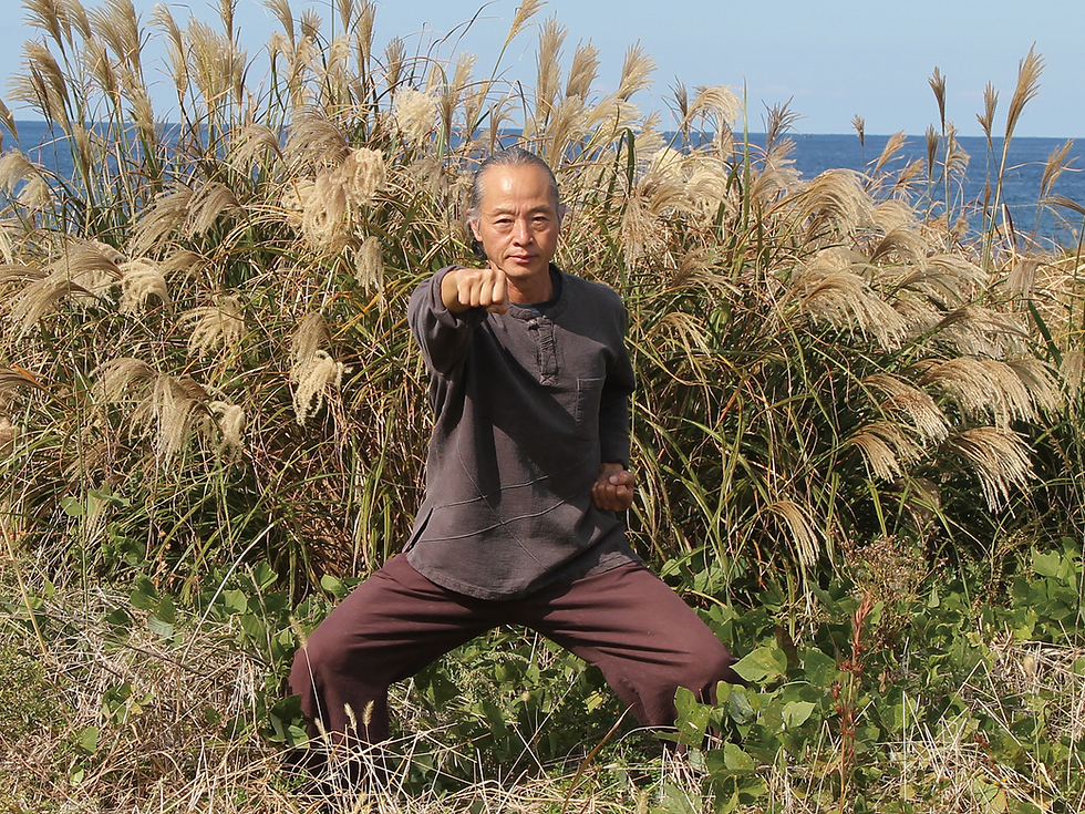 건강 낭창 시리즈