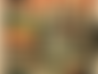 “Shutdown Small Business, Fund the Powerful: Where Did New Hampshire’s PPP Millions Really Go?”