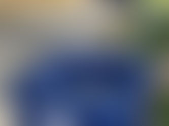 From Flawless to Failing: Hampton’s Trash Pickup Breakdown