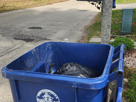 From Flawless to Failing: Hampton’s Trash Pickup Breakdown