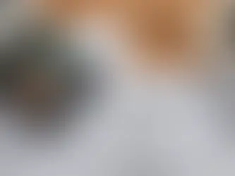 Demystifying Payroll Taxes: Navigating the Uncharted Waters for Small Business Owners