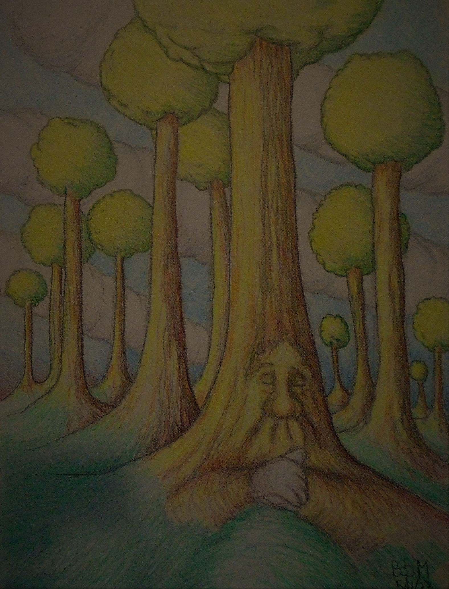 Father tree