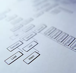 Diagrama de flujo.webp