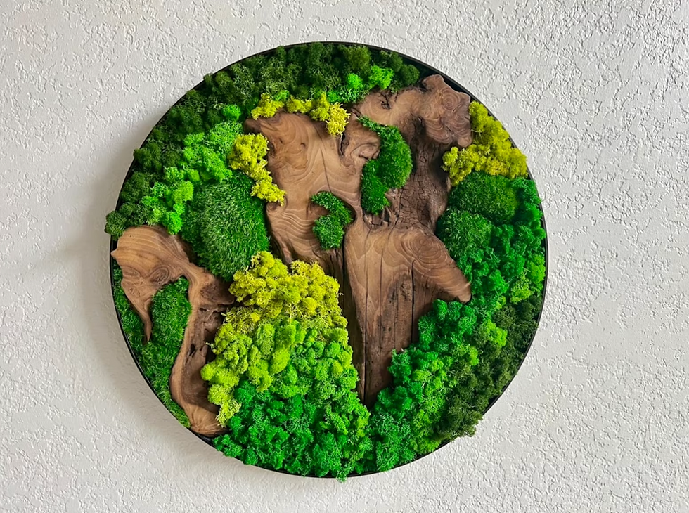 Thumbnail: 24" Preserved Moss Wall Art Circle