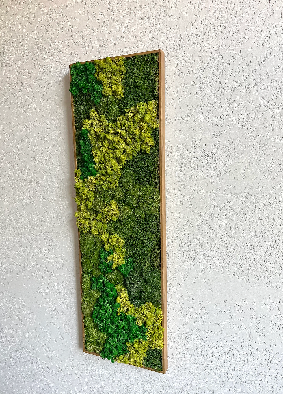 Thumbnail: 14x44” Preserved Moss Wall Art