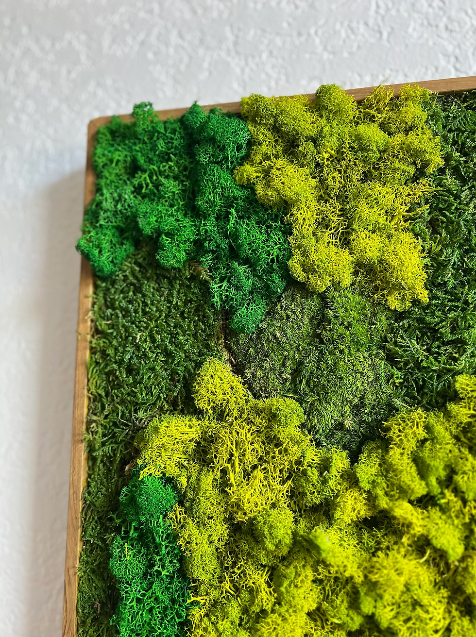 Thumbnail: 14x44” Preserved Moss Wall Art