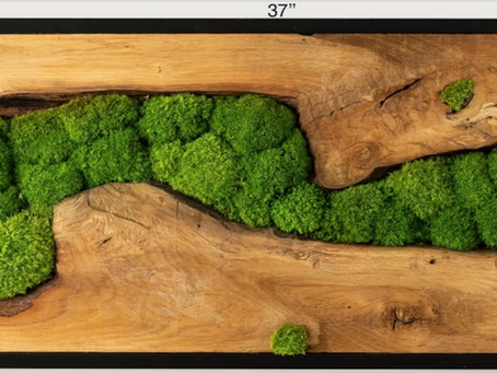 Benefits of Biophilic Designs by Ten Las Moss Art