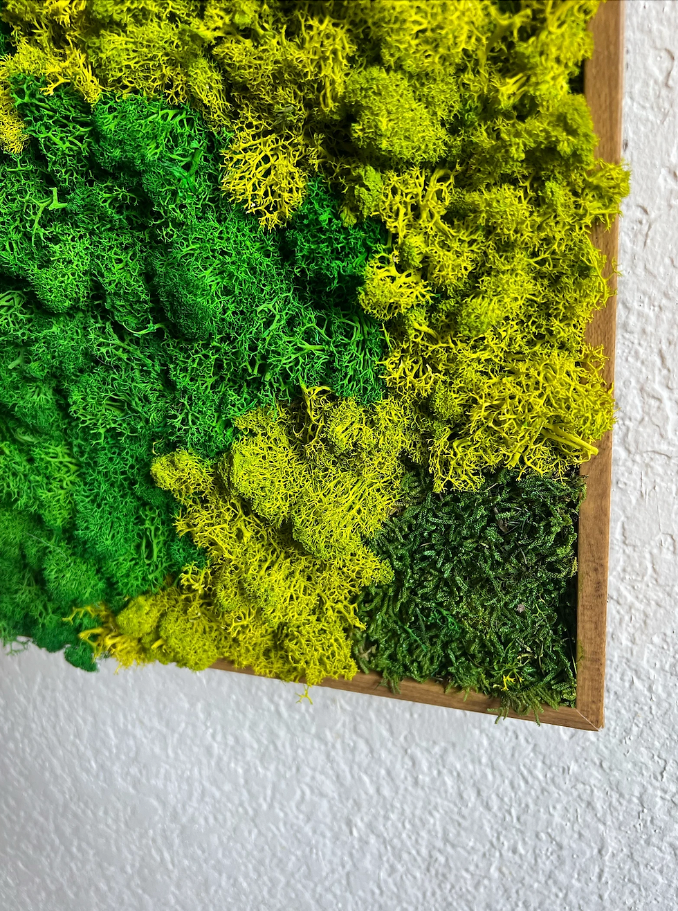 Thumbnail: 14x44” Preserved Moss Wall Art