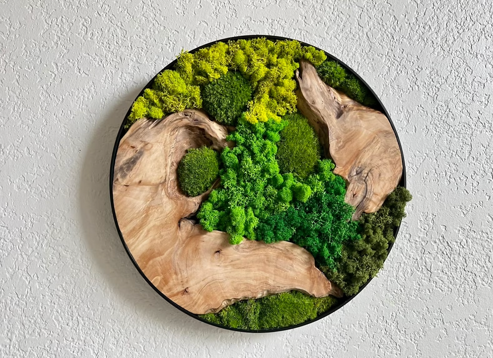 Thumbnail: 24" Preserved Moss Wall Art Circle
