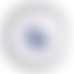 100 anos da Educação Infantil Waldorf: celebrações internacionais e presença no Congresso