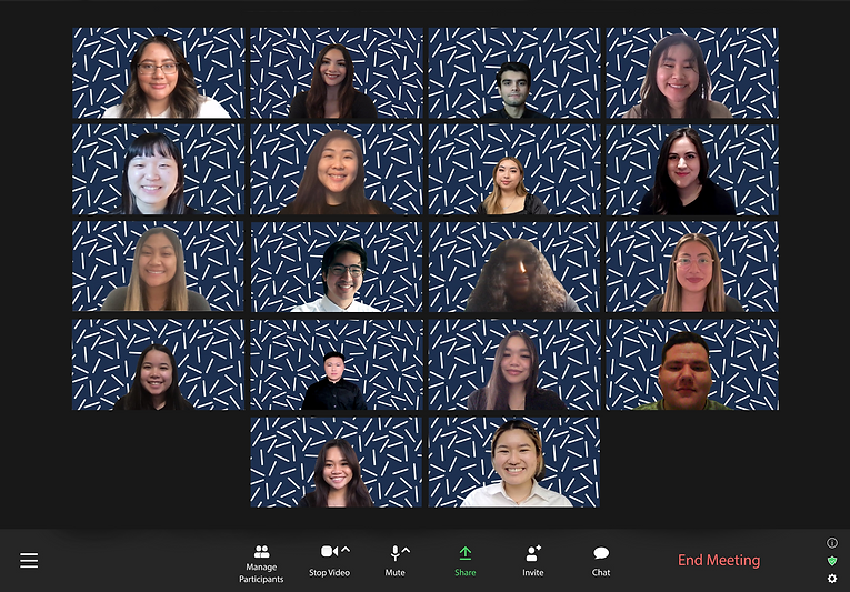 eboard zoom collection.png