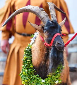 kgp (109)-Bearbeitet.jpg