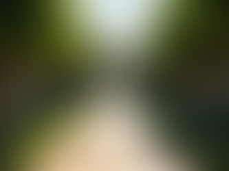 Decks e Pergolas: Transforme Seu Espaço Externo