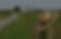 AdobeStock_119781333_edited.jpg