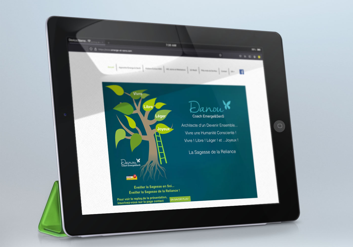 Danou - Emerge et Sens - site internet