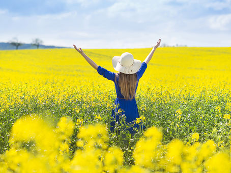 You Might Be a Pantser If…