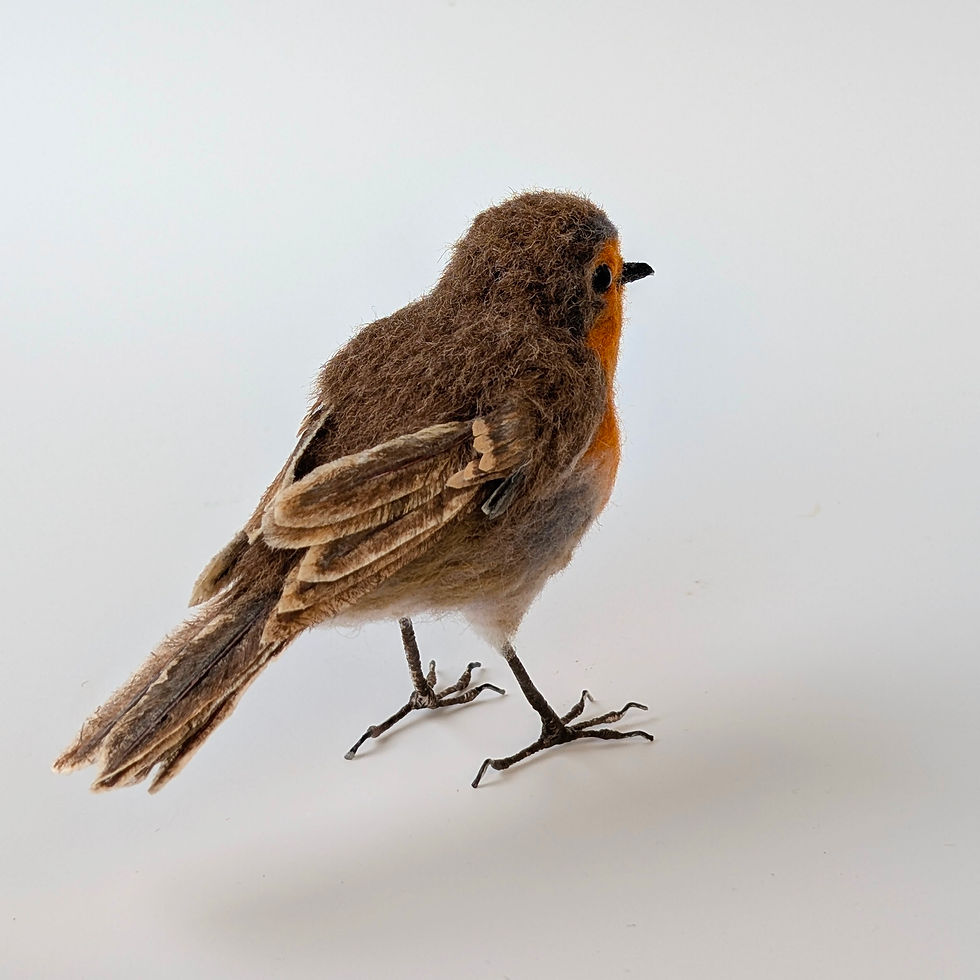 Thumbnail: Life-size Robin Red-breast