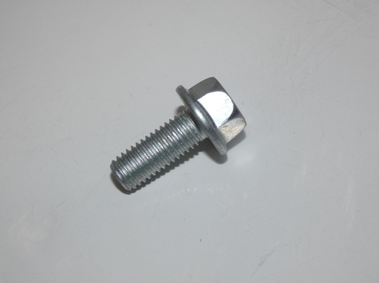 19M9850 Hex Head Flanged Screw M10 x 65
