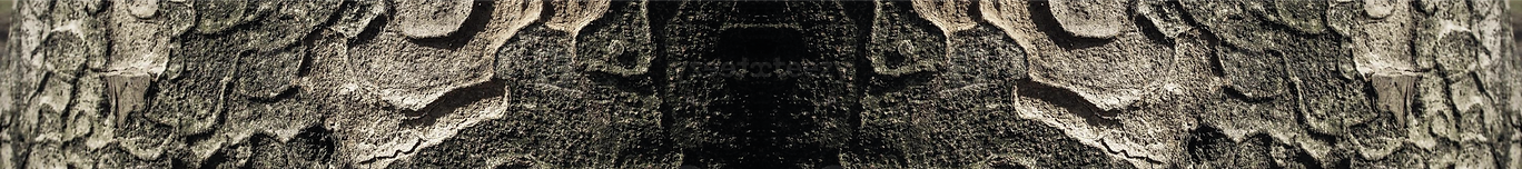 BOUCLES D'OREILLES BIJOUETERIE.png