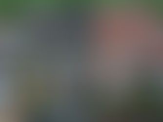 🏠 Les étapes d’un chantier de rénovation de toiture, de A à Z