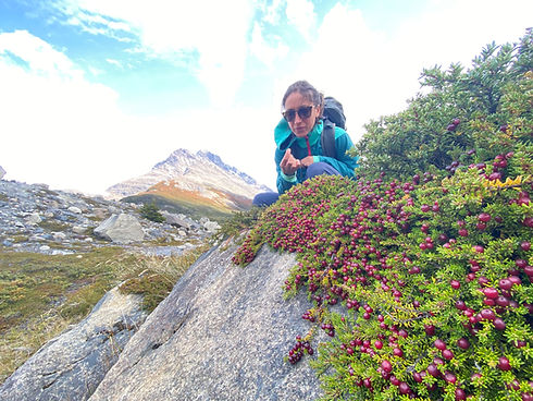 Mariélli picking wild cranberries in Patagonia, Chile.