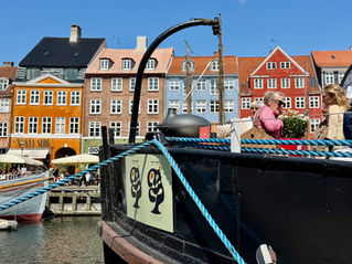 2025 was a bit bonkers. But transforming dreams into reality - worth it.