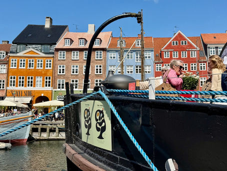 2025 was a bit bonkers. But transforming dreams into reality - worth it.