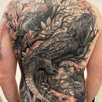 tui tattoo, native nz birds, tuatara, nz tuatara, kowhai, birds, new zealand native, realism, full back tattoo, nz native birds, nz weta, black and grey tattoo