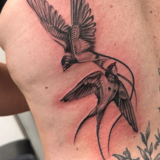 swallows, bird tattoo
